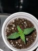 IMG_20200519_125626.jpg