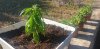 20200519_090750.jpg