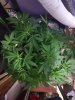 June29-small.jpg