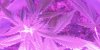 20200716_203342.jpg