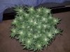 20200722_105604.jpg