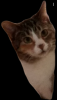 Screenshot_20191213-190232.png
