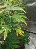 20200813_000738.jpg