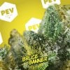 bruce-banner-pev-bank-seeds.jpg