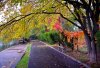 Park-Common-Traffic-Transportation-Outdoor-Pathway-3401.jpg