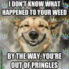 weed-memes-56cc88b93df78cfb37a05cfb.jpg