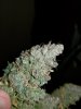 20200915_105316.jpg