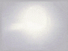 1600825852942.gif