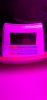 20200928_195834.jpg