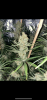87406AD6-20AD-47E6-B740-2A7145707C92.png