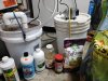 Brewer before.jpg