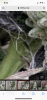185A1DBC-0053-4987-972C-3A2907831B10.png