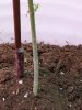 IMG_20201018_203917487.jpg