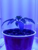 20201031_070242.jpg