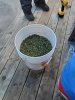 20201109_110329.jpg