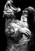 black_white_animal_photography_47.jpg