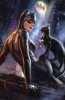 7410962-catwoman by ian.jpg