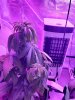 20201205_001647.jpg