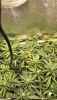 D8B410E5-5EDF-4932-9DB4-9BCD2F167C84.png
