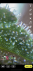 C271A8E3-488F-451A-B95F-EB46DE5909A4.png