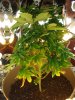 DSC01061.jpg