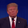 Trump head bob.gif