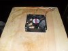 SDC10629.JPG
