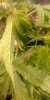 20210126_130750.jpg