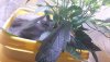 20210328_053509.jpg