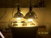 100_2084.jpg