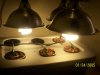 100_2080.jpg