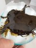 Cannabis tar s.jpg