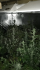 0D76CB42-CE29-488F-BF4C-ABDC9379E8DC.png