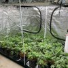 FC-E 6500 in grow tent 4x8ft.jpg