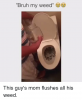 bruh-my-weed-t-this-guys-mom-flushes-all-his-11381787.png