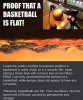 flat basketball.jpg