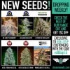 New Seeds August.jpg