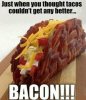 bacon-taco-meme.jpg