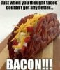 bacon-taco-meme.jpg