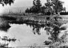 LaBrea-tarpits-1910.jpg