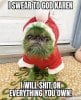 grinch karen.jpg