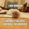 dunecat_small.jpg