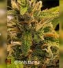 medic-grow-fold-8-grow-journal-hnhfarms-1217-1.jpg