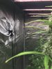 thumbnail_IMG_0223.jpg