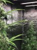 thumbnail_IMG_0224.jpg
