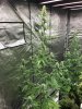 thumbnail_IMG_0225.jpg