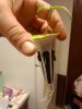 IMG_20220121_161817279.jpg