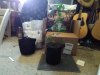 I bought these gallon size material bags and am transplanting from the styrofoam cups. They we...jpg