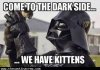 DarksideKittens.jpg