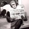 Space_Chimp_Lives_-9409.jpg